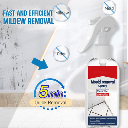 All-purpose Mildew Removal Spray（Buy 2 Get 1 Free）
